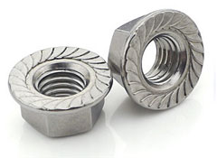 Stainless Steel Flange Nuts